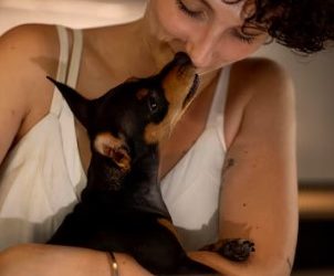 Solar Eclipse With Pets: Safety Concerns & Health Issues.