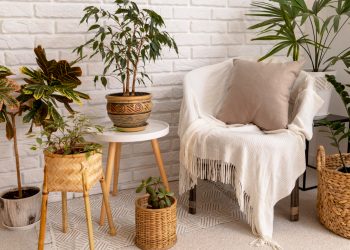 Which Decorative Accessories Elevate Home Decor to a New Level?