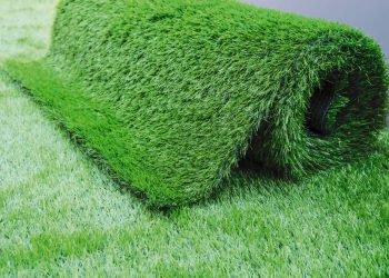 Your Yard, Your Way: Design a Dream Outdoor Space