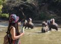 Siem Reap for Budget Travellers