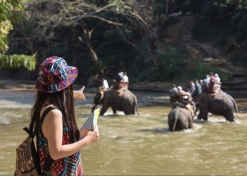 Siem Reap for Budget Travellers